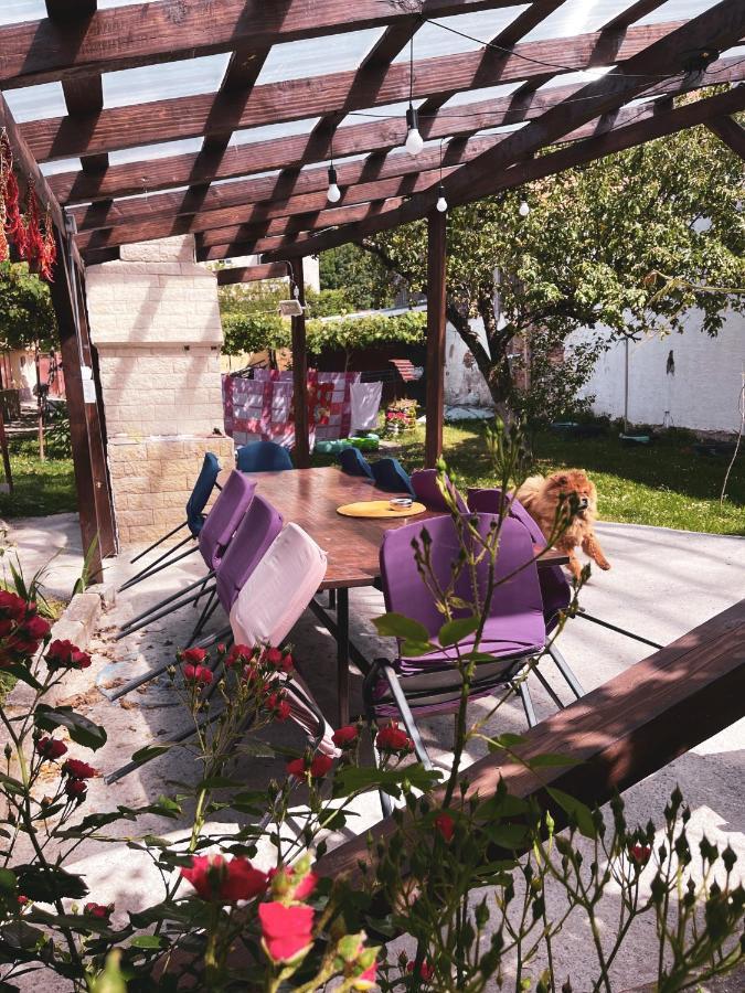 Yard Studio Rasnov Apartment Ngoại thất bức ảnh