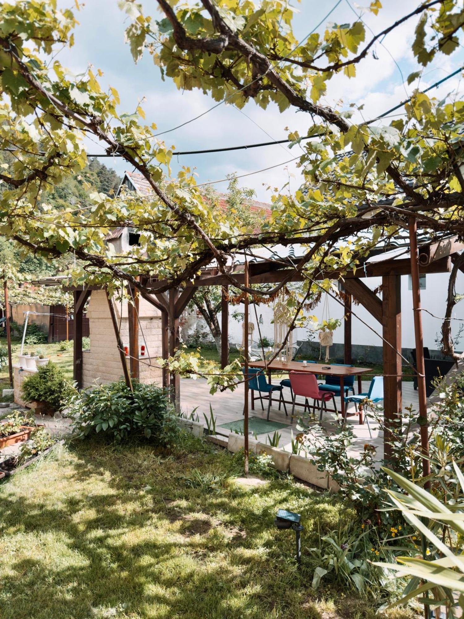 Yard Studio Rasnov Apartment Ngoại thất bức ảnh