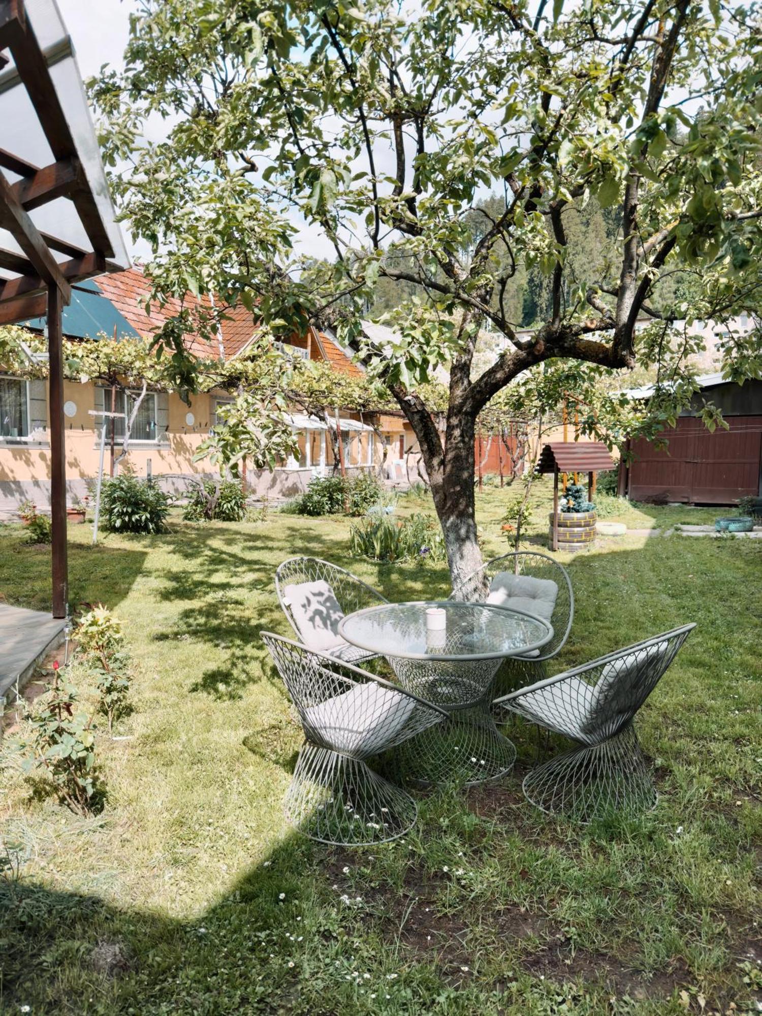 Yard Studio Rasnov Apartment Ngoại thất bức ảnh